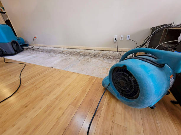 Professional Ceiling Water Damage Repair technician working in Merlin, OR